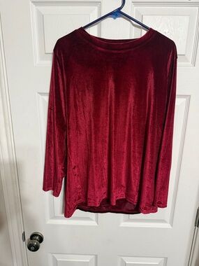 Source Unknown Velvet Long-Sleeve Top - Burgundy